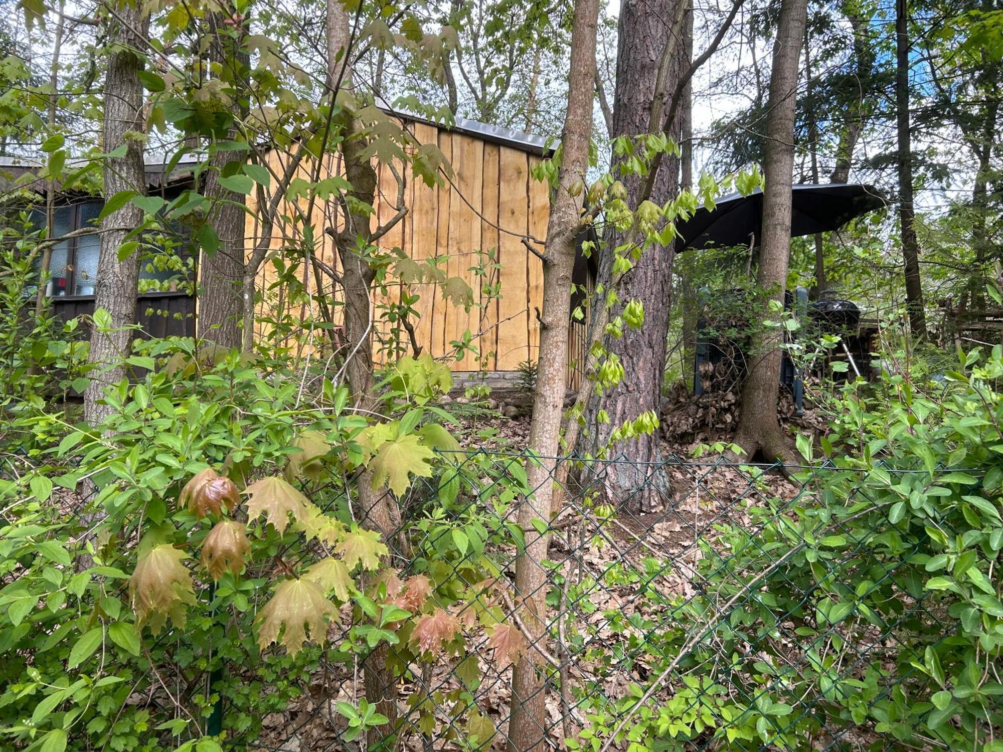 Bungalow Biberspur Zieko Exterior photo